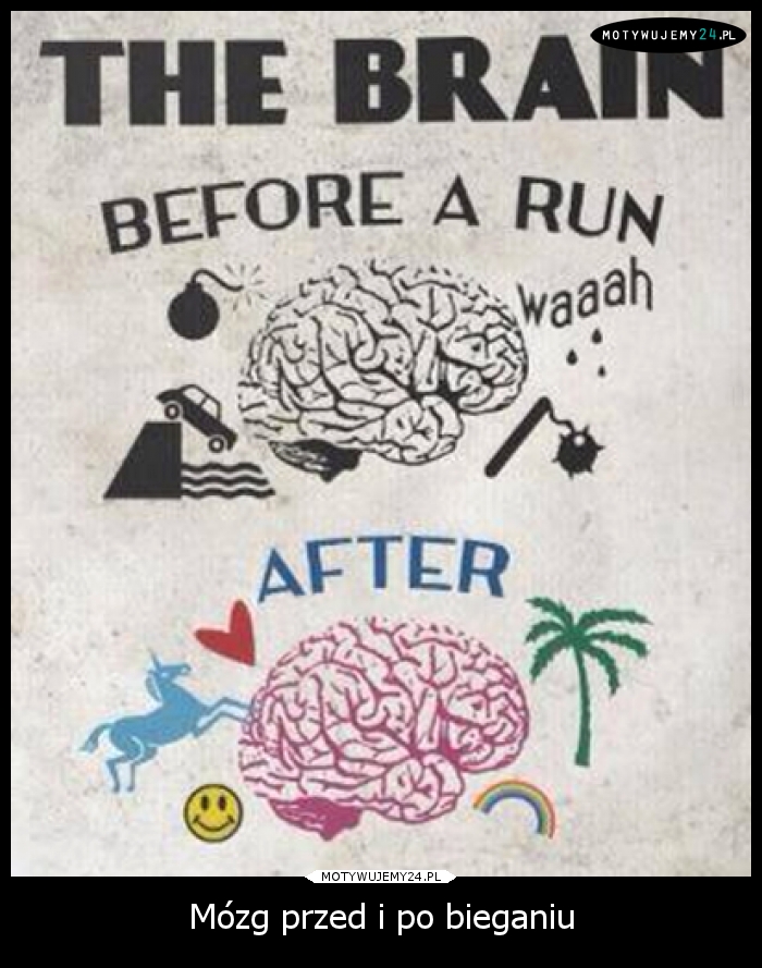 Mózg przed i po bieganiu