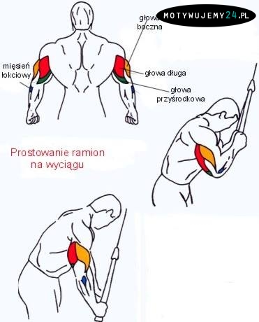 Prostowanie ramion na wyciągu