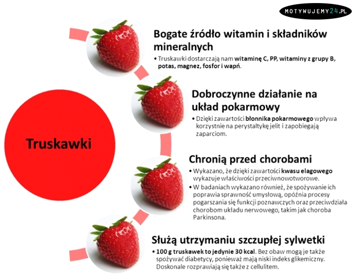 Trochę informacji o truskawkach