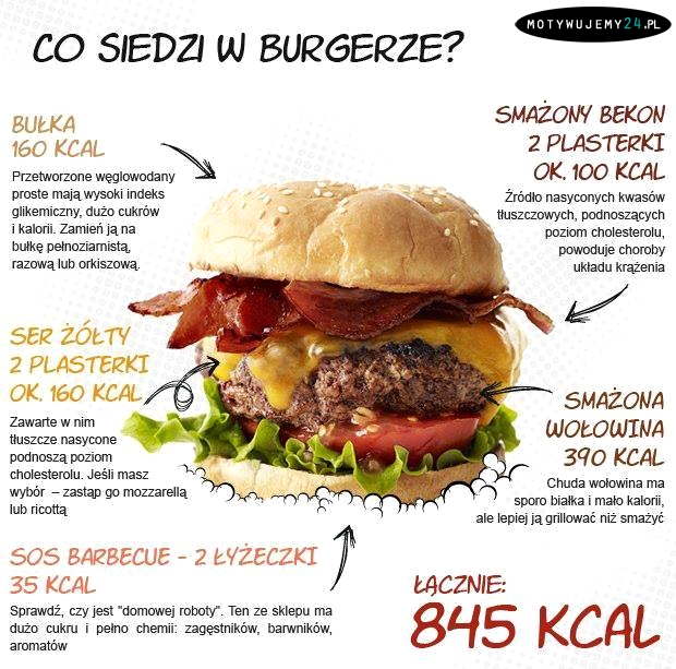 Co siedzi w burgerze?