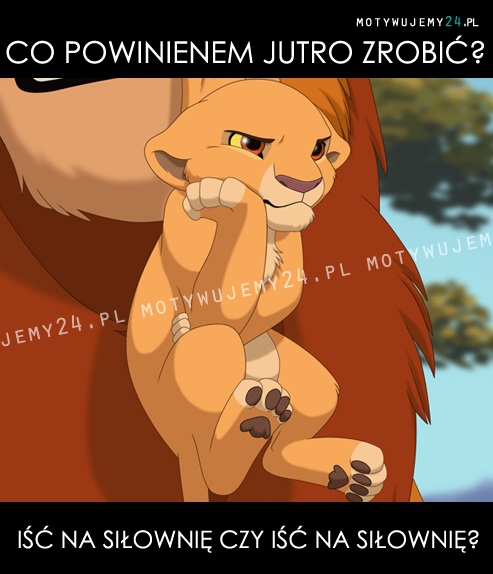 Co powinienem jutro zrobić?