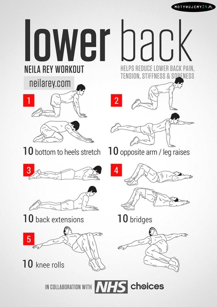 Lower back workout | Plecy