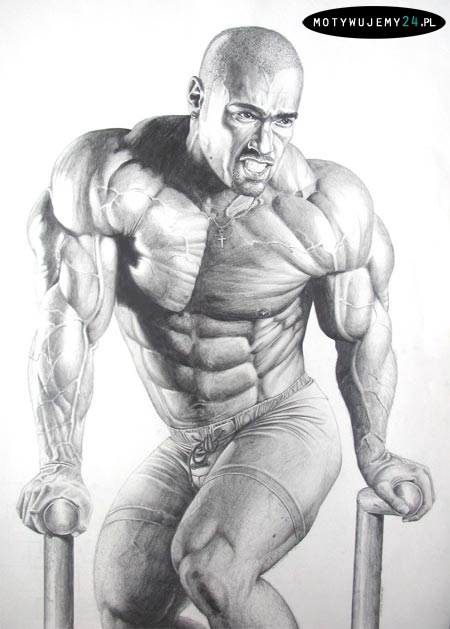 The art of bodybuilding