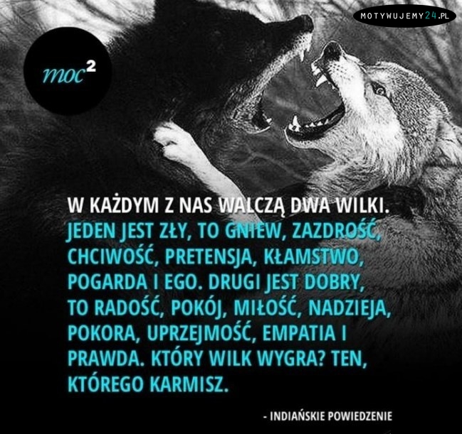 W każdym z nas walczą dwa wilki...