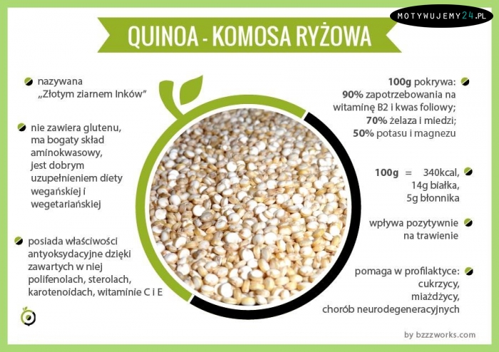 Quinoa - komosa ryżowa