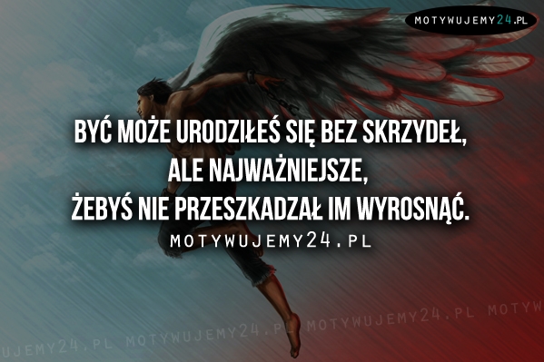 Być może urodziłeś się bez skrzydeł, ale...