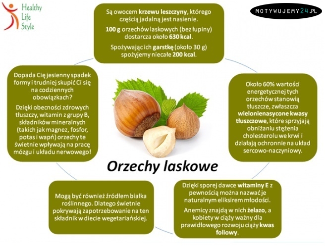 Ciekawostki dietetyczne - orzechy