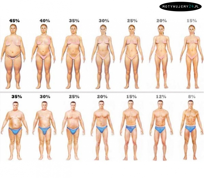 Wizualizacja % ilości tłuszczu w organizmie