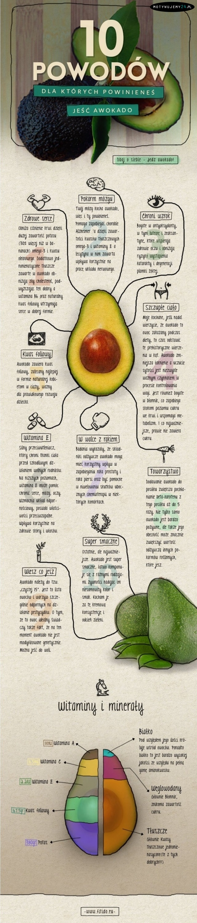 10 powodów, dla których warto jeść avocado