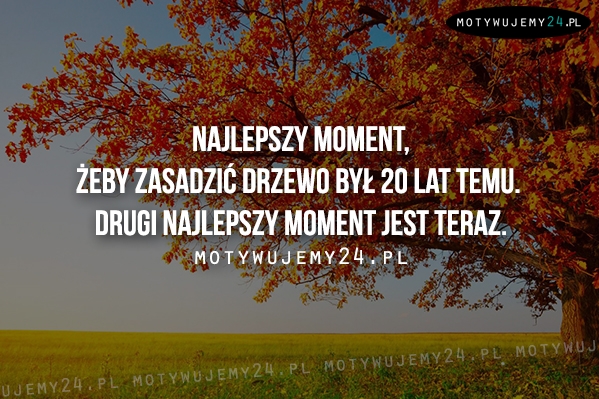 Najlepszy moment, żeby zasadzić drzewo był...