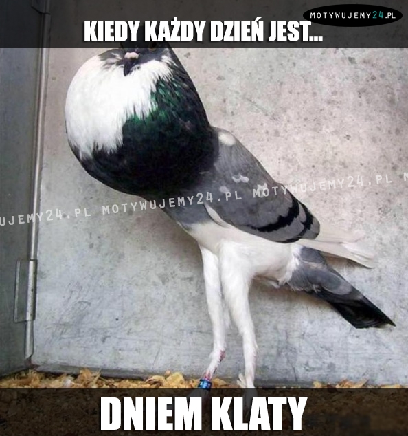 Dzień jak codzień...