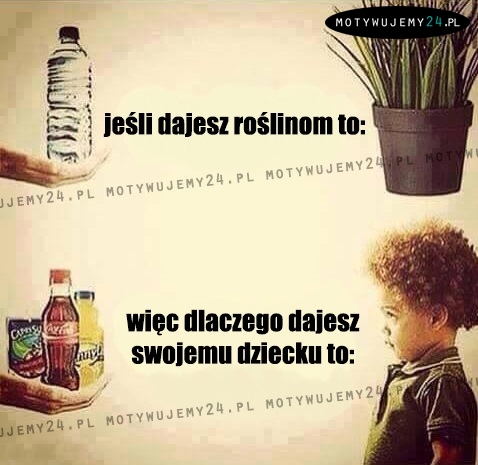 Jeśli dajesz swoim roślinom wodę...