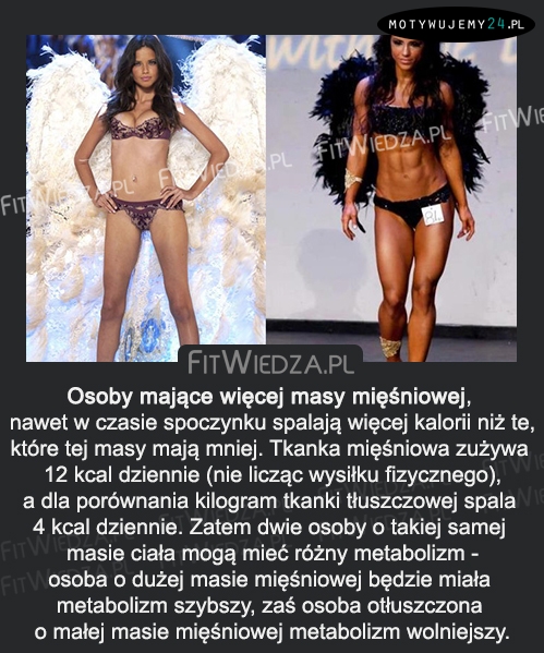 Osoby mające więcej masy mięśniowej...