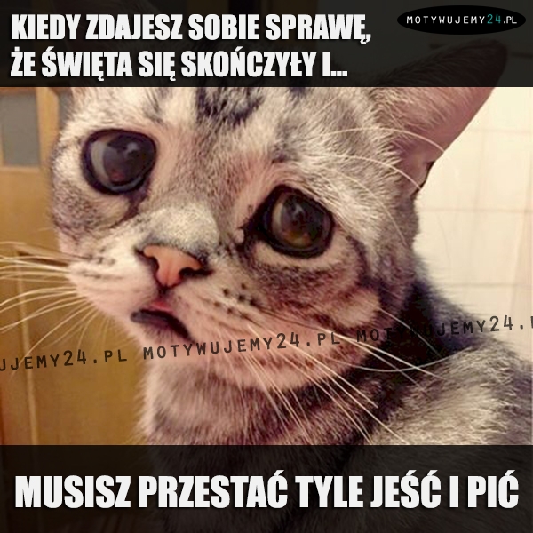 Kiedy zdajesz sobie sprawę, że święta się skończyły i...