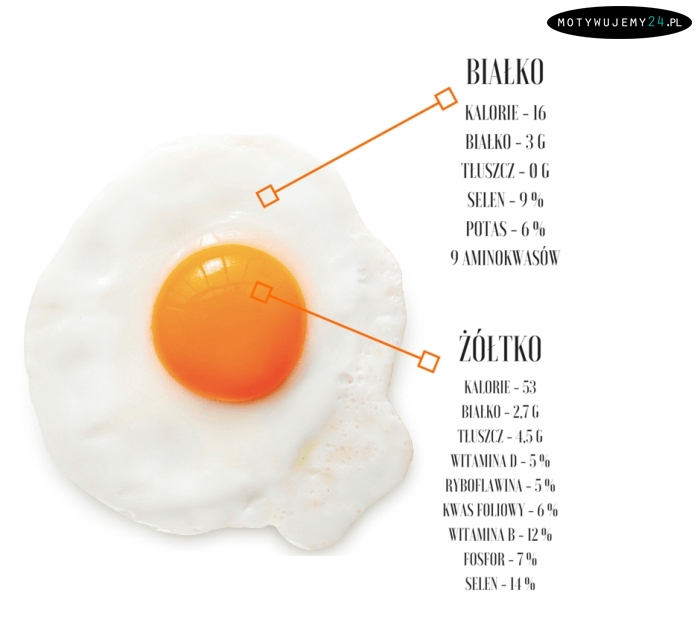 Wartości odżywcze jajka