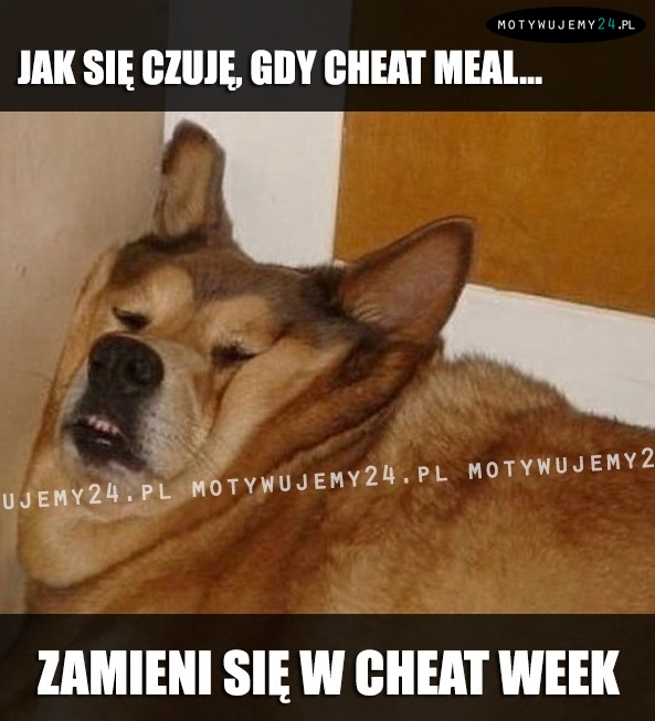 Jak się czuję, gdy cheat meal...