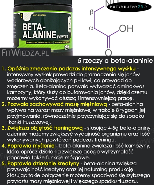 5 rzeczy, które warto wiedzieć o beta-alaninie