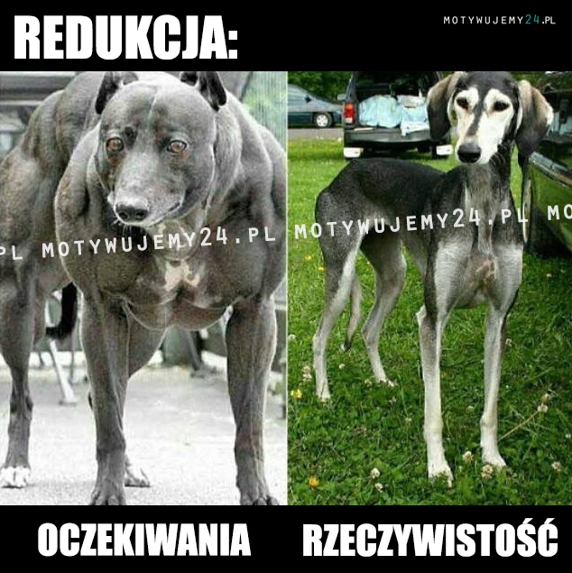 Redukcja: oczekiwania vs rzeczywistość