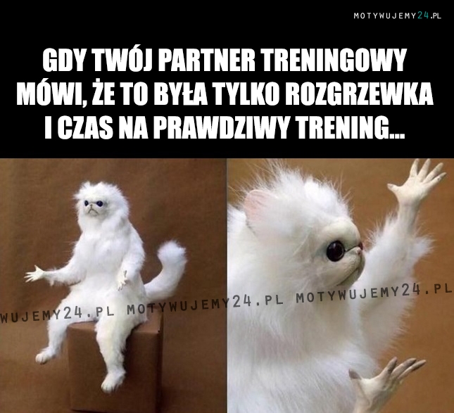 Że jak?