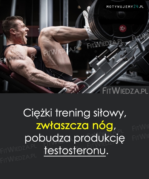 Czy wiesz, że...