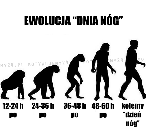 Ewolucja 