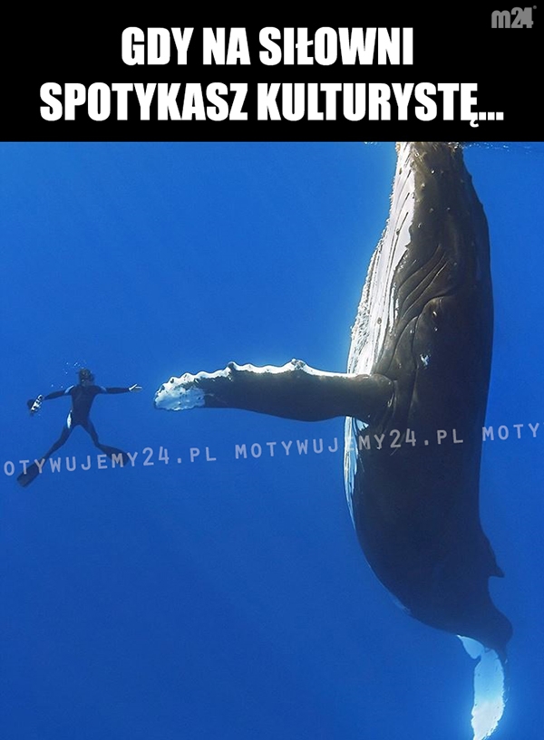 Gdy na siłowni spotykasz...