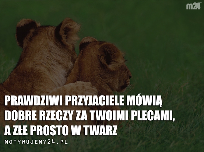 Czasem warto usłyszeć parę mocnych słów...