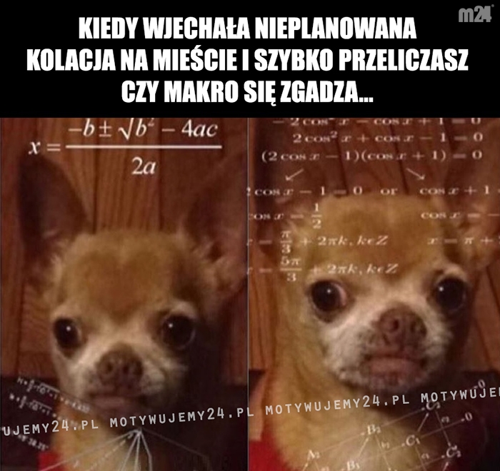 Wyższa matematyka...