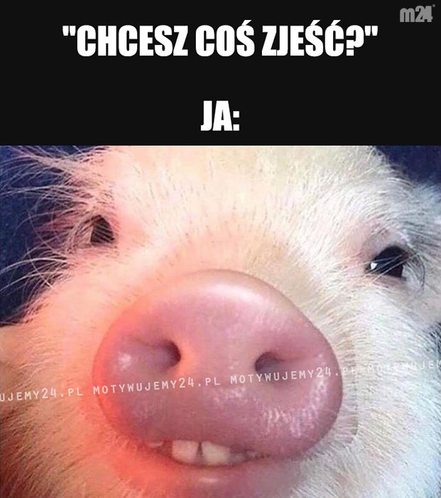 Co to za pytanie...