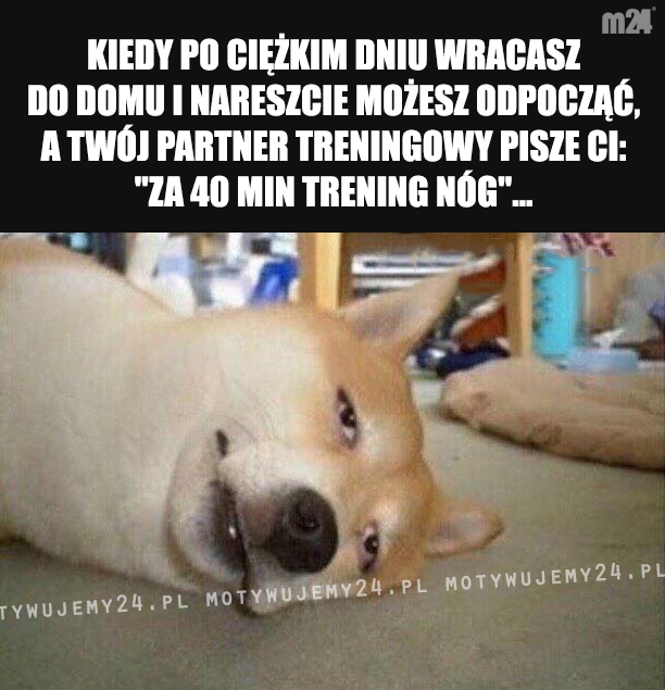 Pięknie...