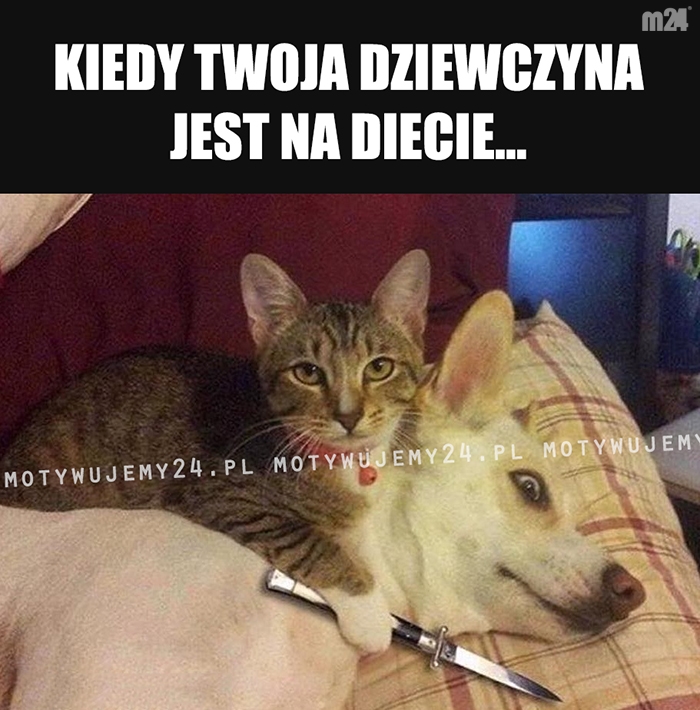 Tak się kończy brak węglowodanów...