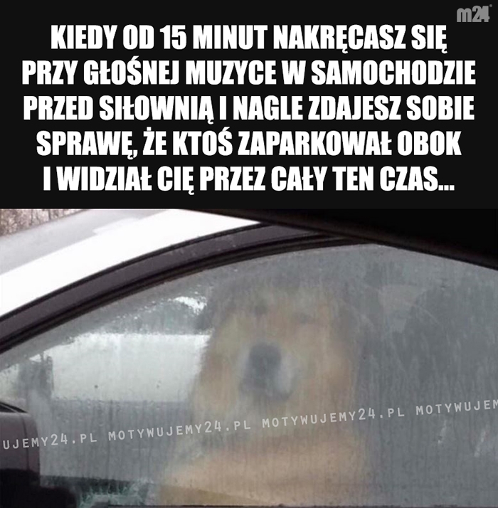 Zapomnij o tym, co widziałeś...