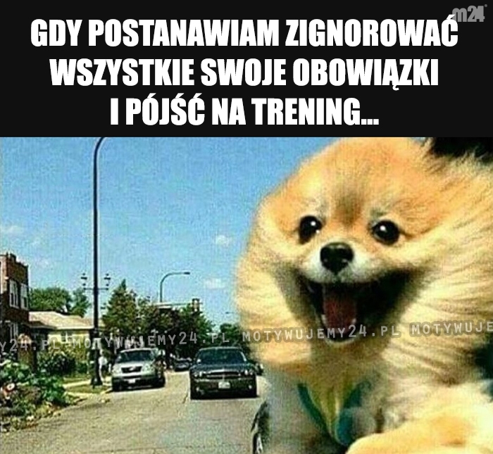 Raz się żyje...