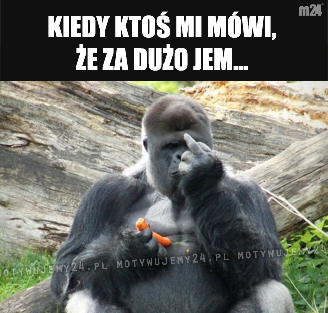 Nic więcej do dodania...