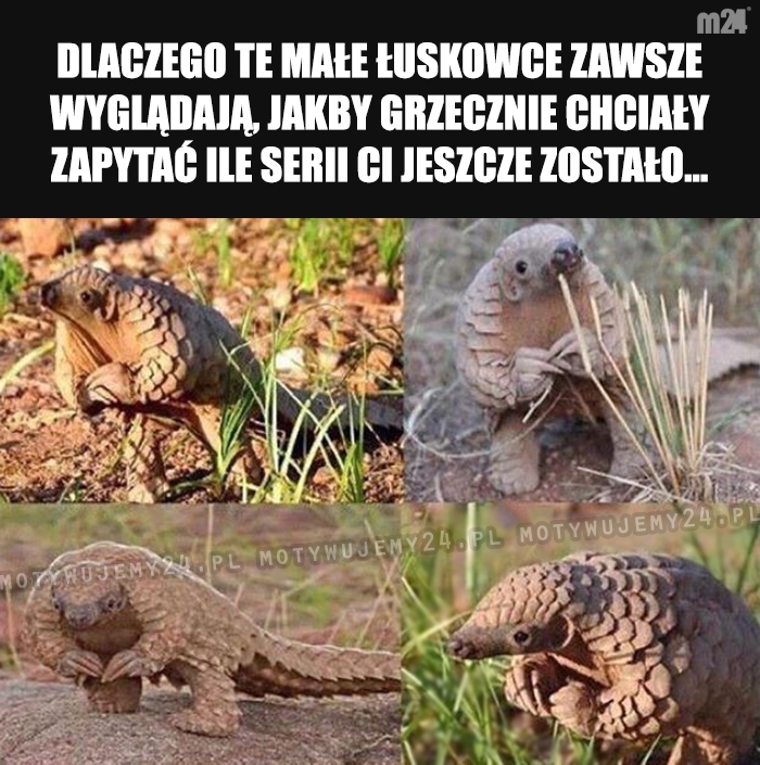 Kulturalnie, grzecznie i uprzejmie...