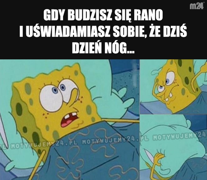 No świetnie...