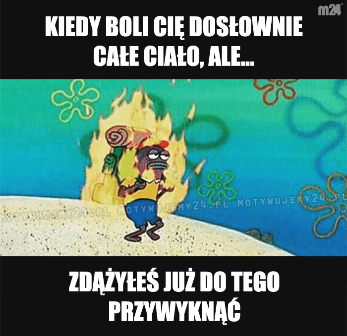 Dzień jak co dzień...