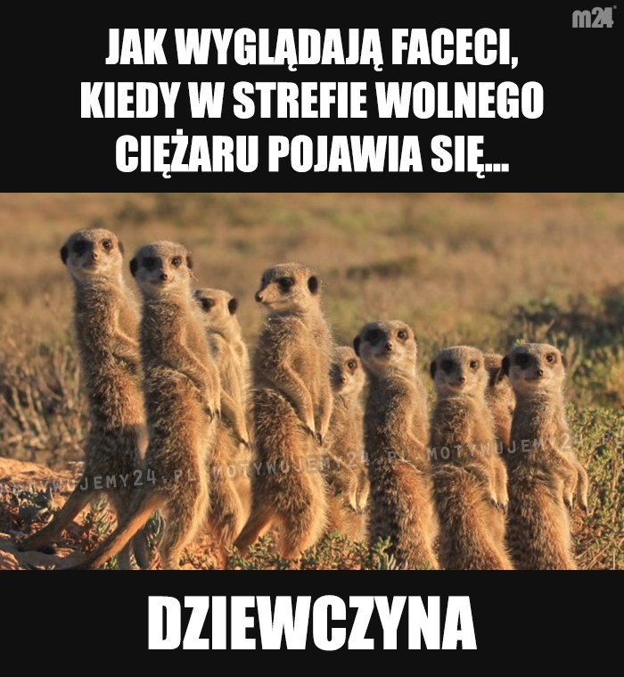 Niezwykle rzadki okaz...