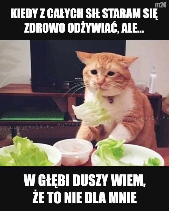 No co ja zrobię...