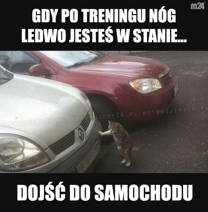 Resztkami sił...