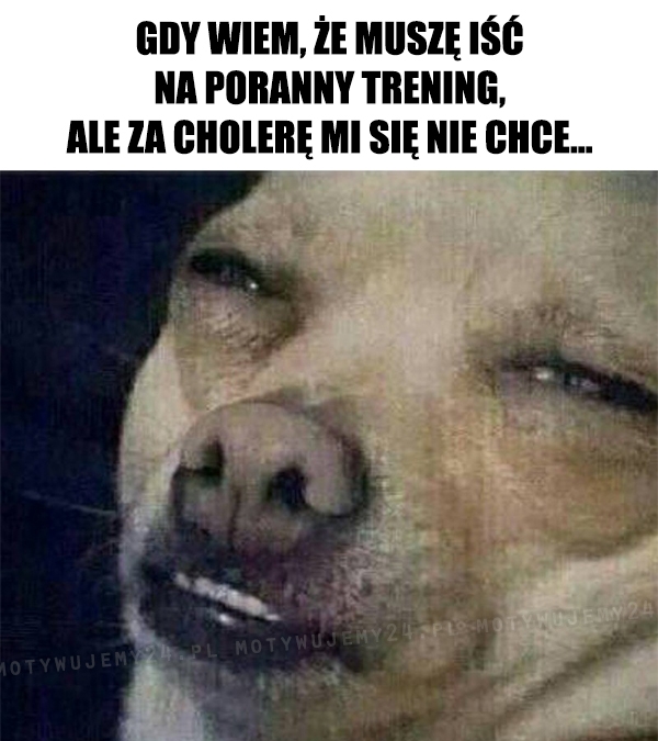 Na co mi to wszystko...