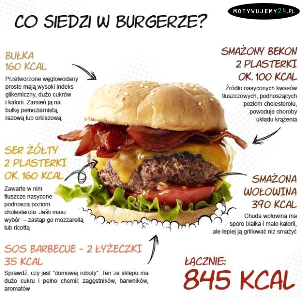 Co siedzi w burgerze?