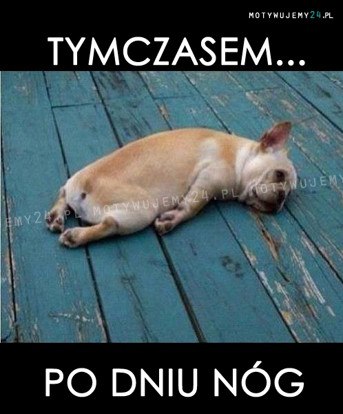 Tymczasem...