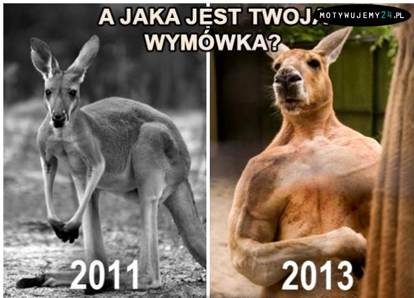 Jaka jest twoja wymówka?