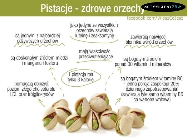 Pistacje