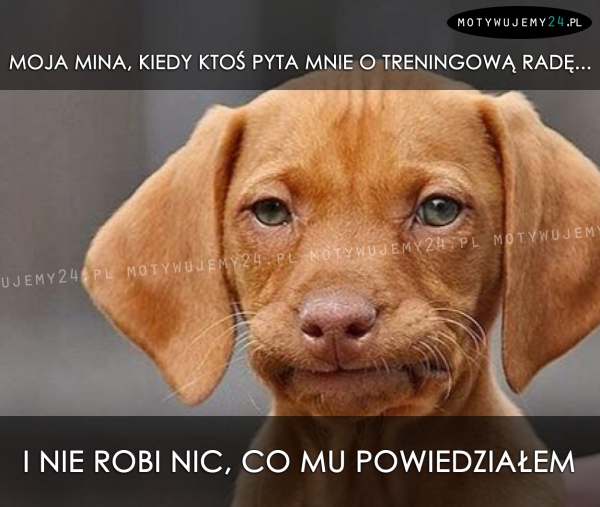 Moja mina, kiedy ktoś pyta mnie o radę...
