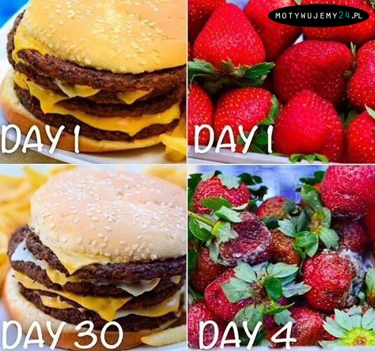 Truskawki vs. hamburger z MCa