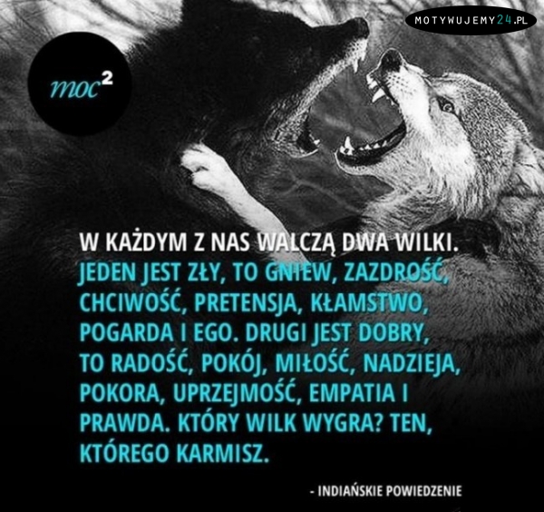 W każdym z nas walczą dwa wilki...