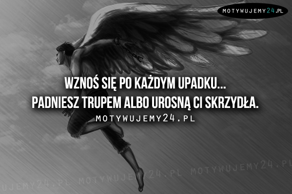Wznoś się po każdym upadku...