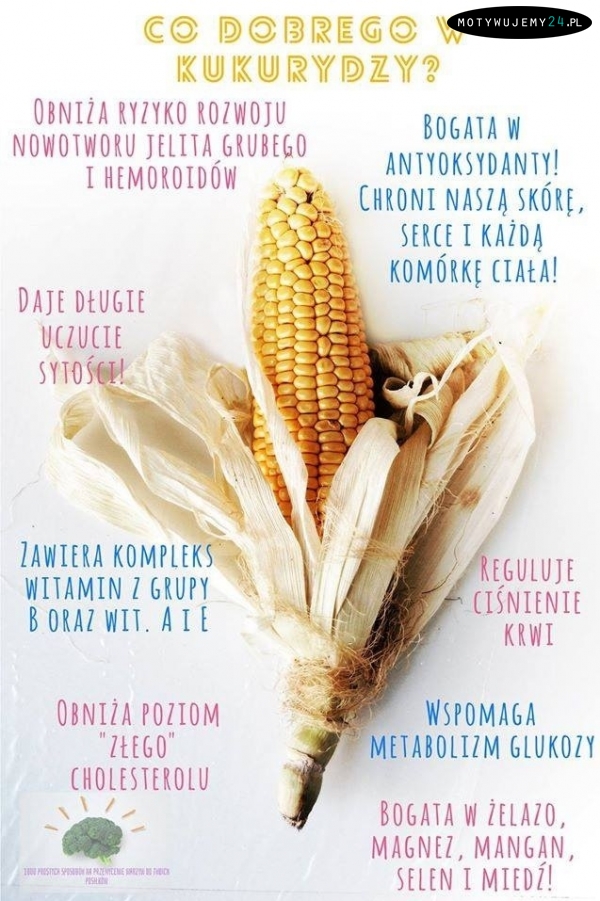 Co dobrego w kukurydzy?